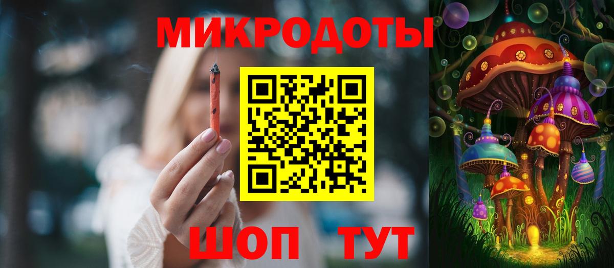 Псилоцибиновые грибы Psilocybine cubensis Гулькевичи